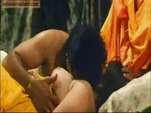 स्क्यान्की सेतो गोरा ...
